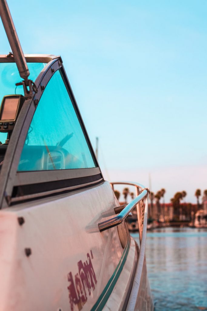 boat on water with view of palm trees